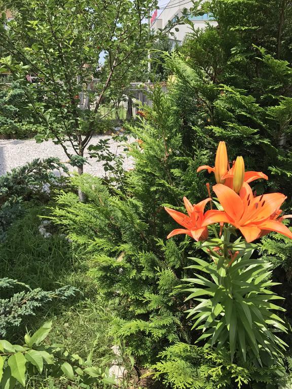 סראייבו Apartment Near The Airport מראה חיצוני תמונה